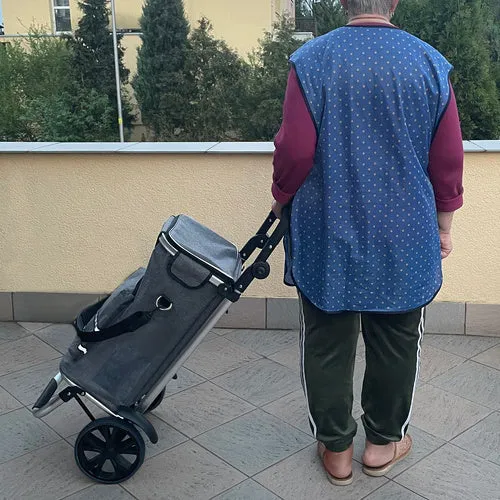 2in1 Einkaufswagen mit verstellbarem Griff und viel Platz