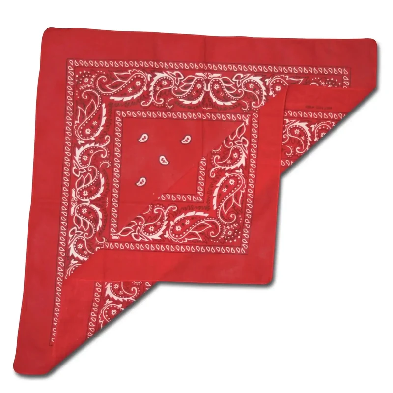 Bandana Western
