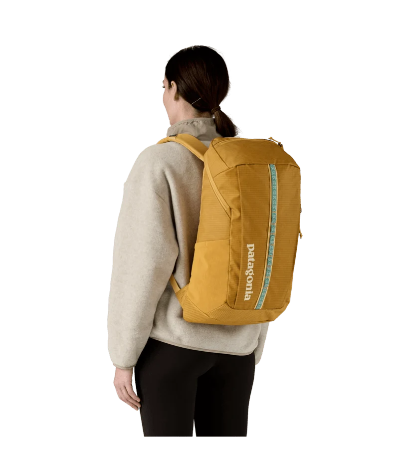 Black Hole Pack 25L