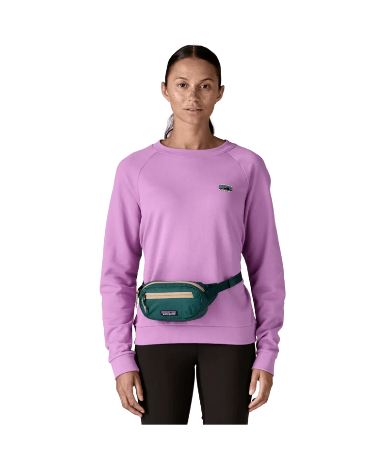 Terravia Mini Hip Pack 1L | Bauchtasche