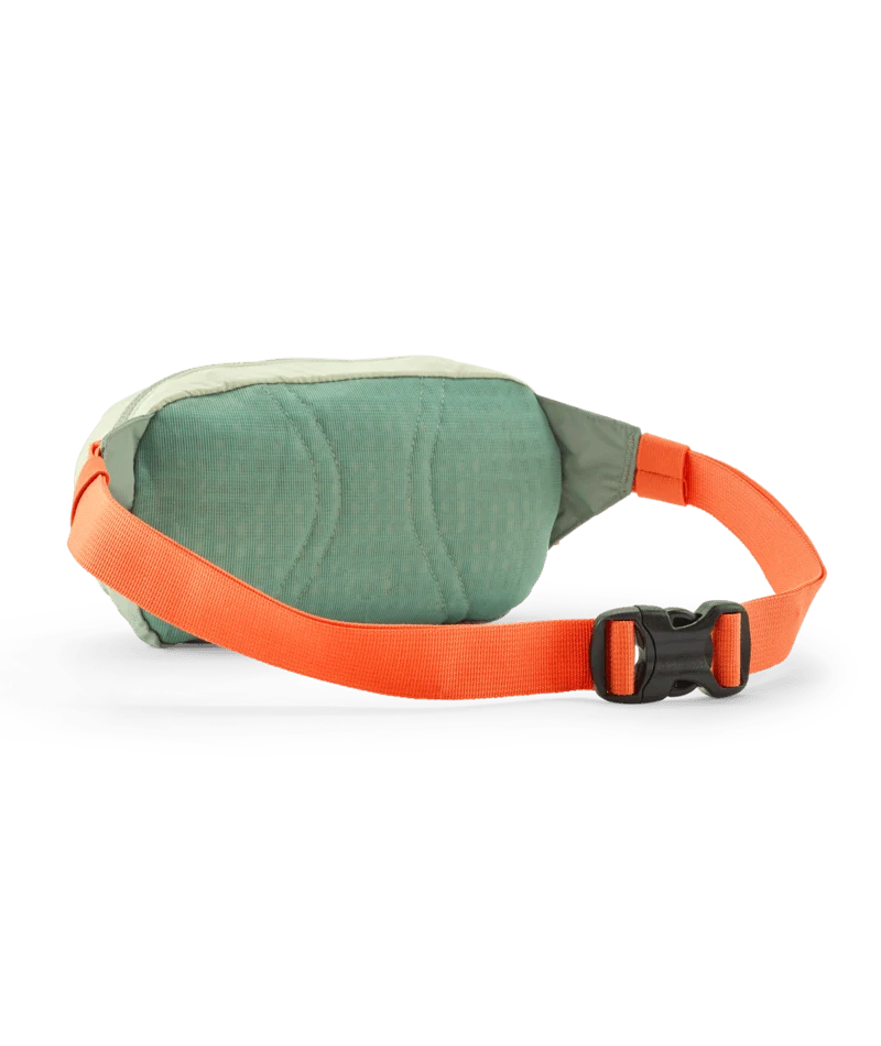 Terravia Mini Hip Pack 1L | Bauchtasche