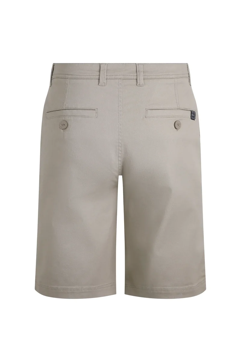 Weird Fish Men's Rayburn Shorts - Flintstone