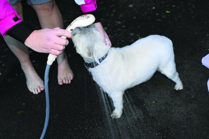 Porta Shower - 12 Volt Portable Shower System