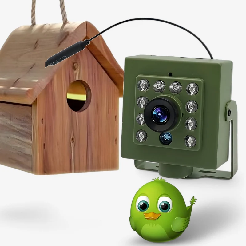 WLAN-Kamera - 1080p HD | Vögel beobachten