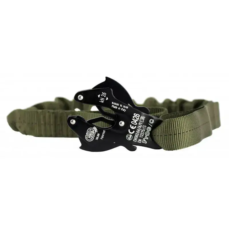 Lanyard Frog