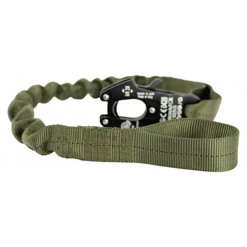 Lanyard Frog