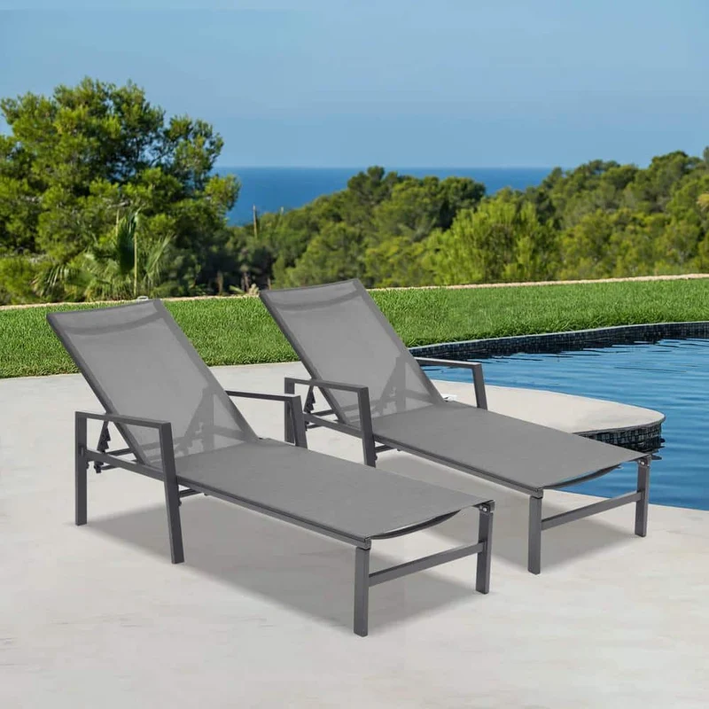 Gray 2-Piece Adjustable Metal Outdoor Chaise Lounge with Armrest