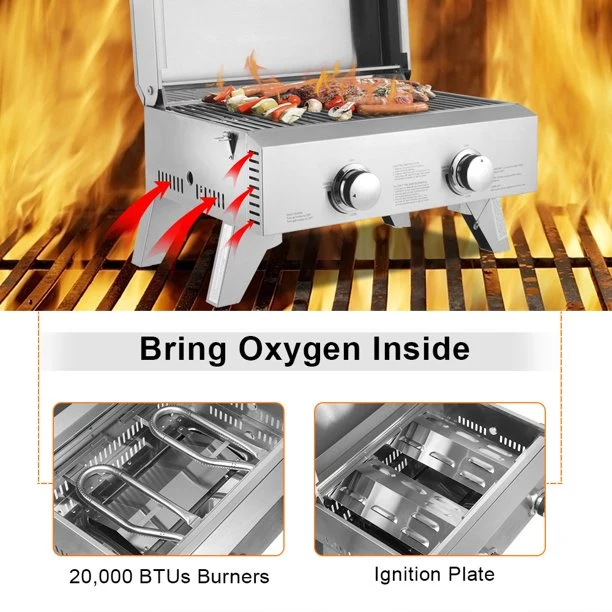 Stainless Steel Gas Grill, Double Row Double Head Small Oven