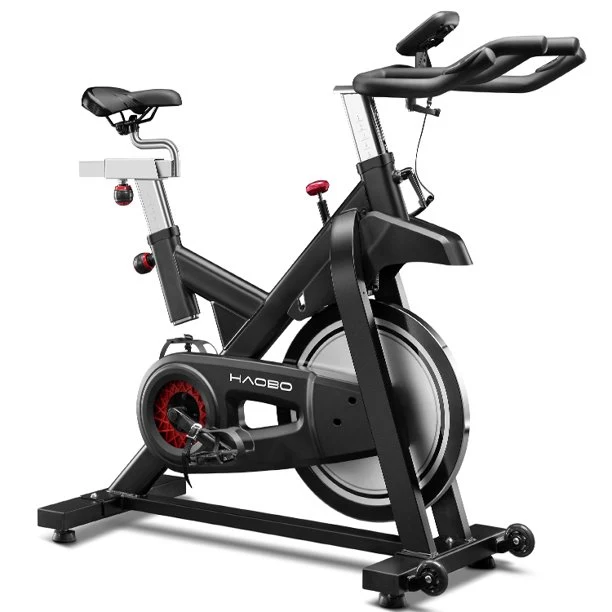 Magnetic Resistance Exercise Bikes Indoor Stationary Bikes for Home Workout Quiet Belt Drive with LCD Monitor Professional Seat Ipad Mount