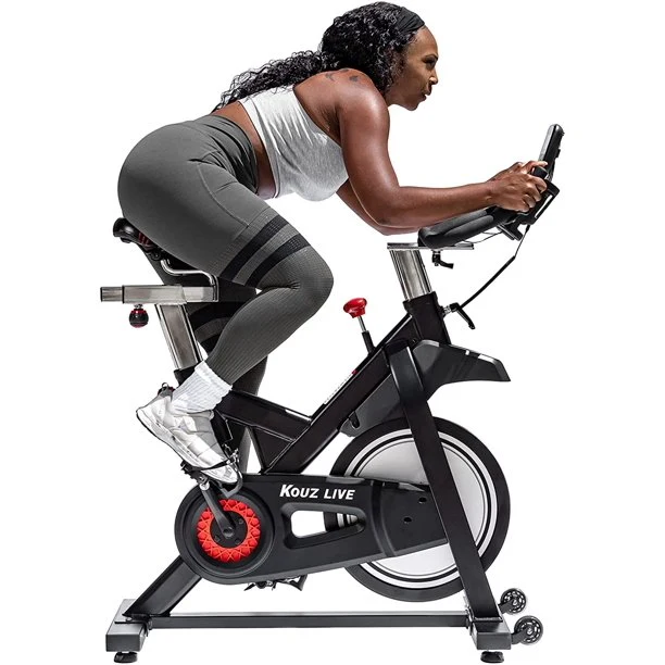 Magnetic Resistance Exercise Bikes Indoor Stationary Bikes for Home Workout Quiet Belt Drive with LCD Monitor Professional Seat Ipad Mount