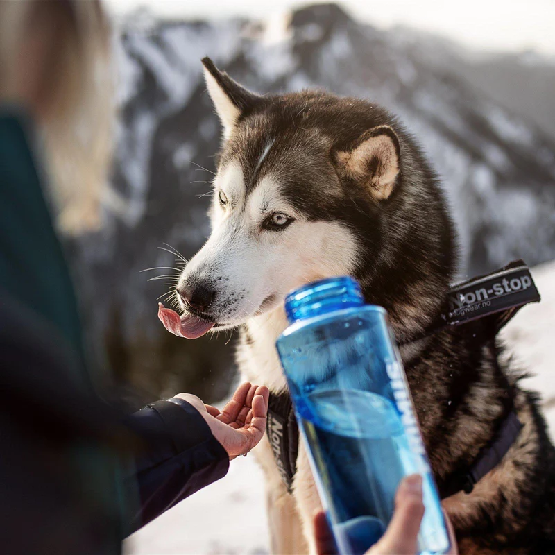 Trailbottle 0,6L Tritan